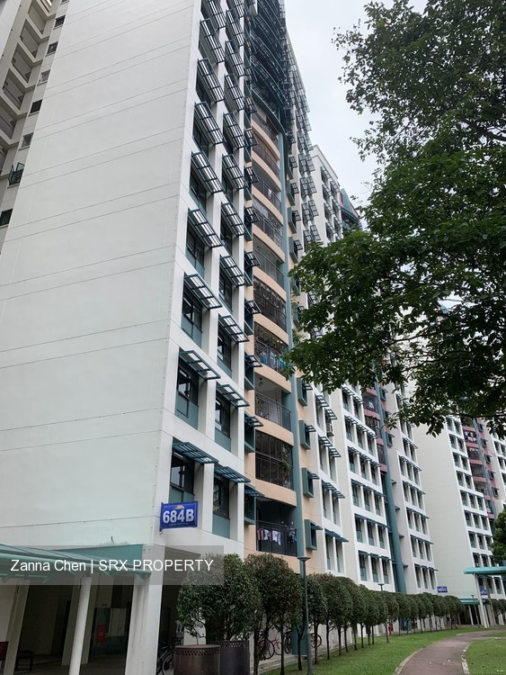 Blk 684B Jurong West Street 64 (Jurong West), HDB Executive #207039251